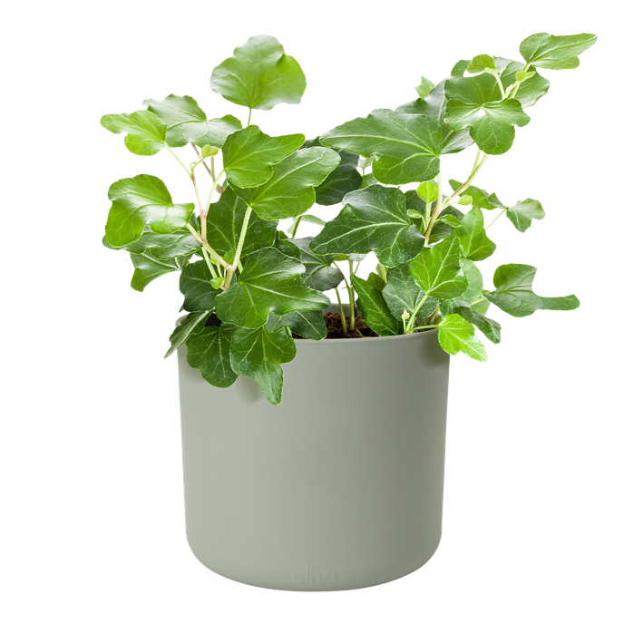 b.for soft rund 16cm steingrün